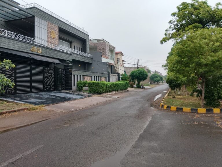 WhatsApp Image 2025-06-27 at 07.42.11_ef702d66